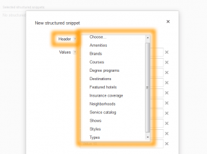 Google AdWords Ad Extension Structured Snippets Header Menu with 12 Options
