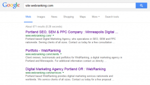Google Site Search - site:webranking.com
